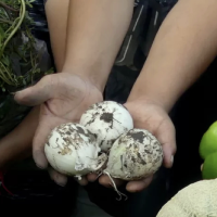 Group Profile Picture